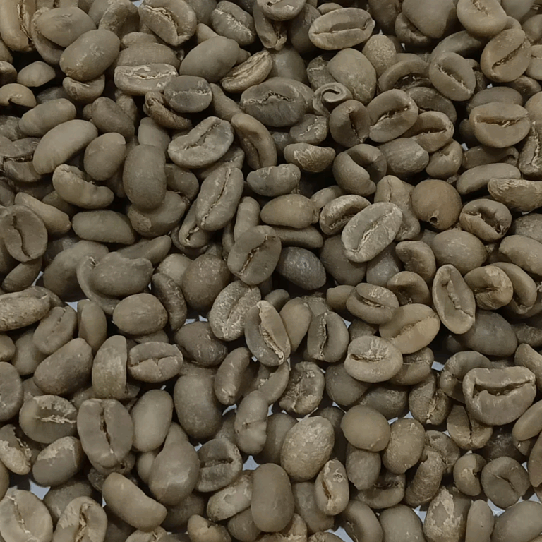 luwak-coffee-beans