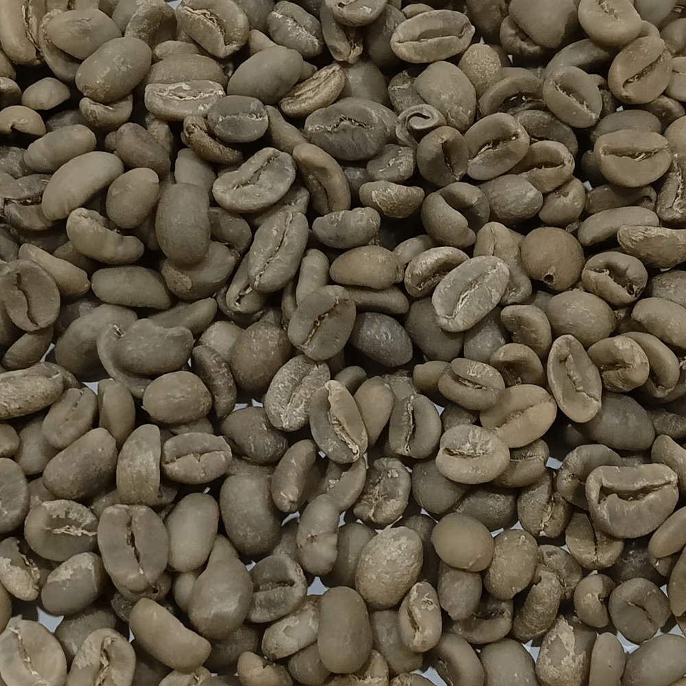 luwak-coffee-beans