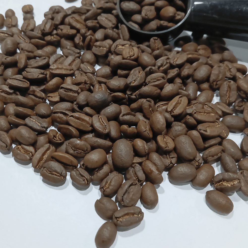 wild civet arabica roasted coffee beans