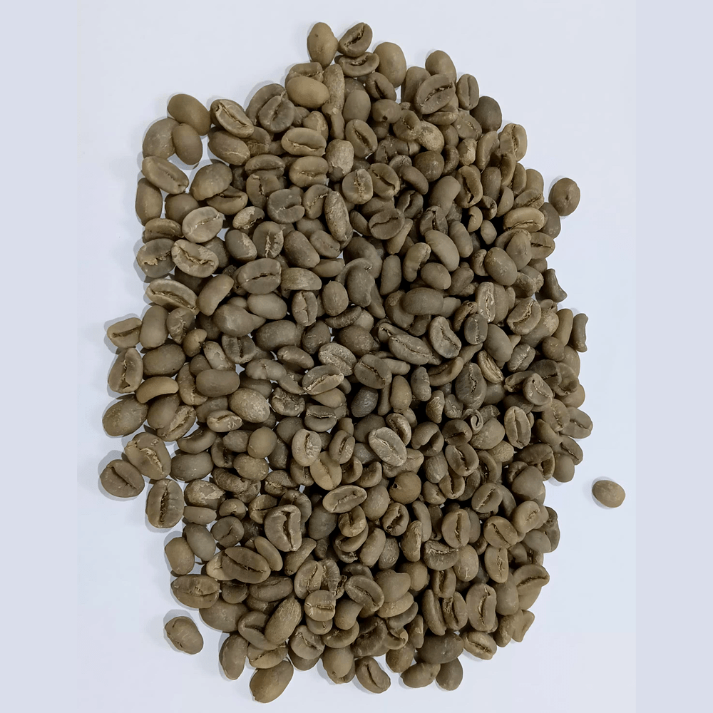 wild-luwak-arabica-coffee-aceh-gayo-export