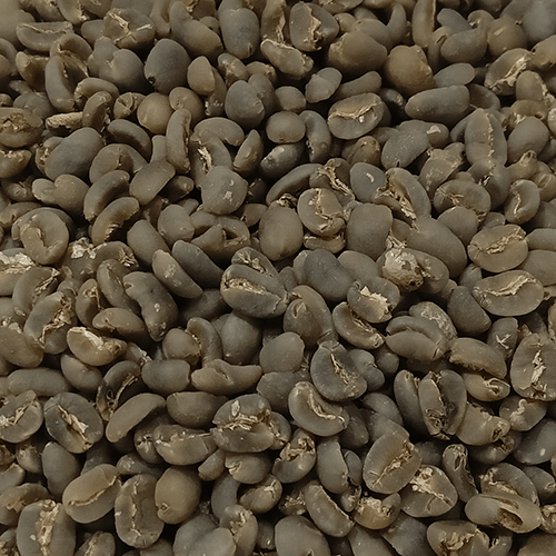 Organic Sumatra Mandheling Grade 1 Coffee Beans