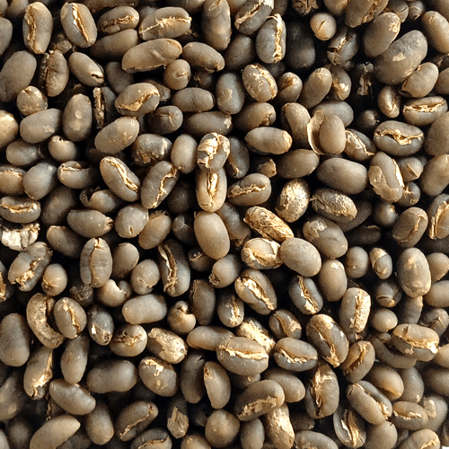 peaberry