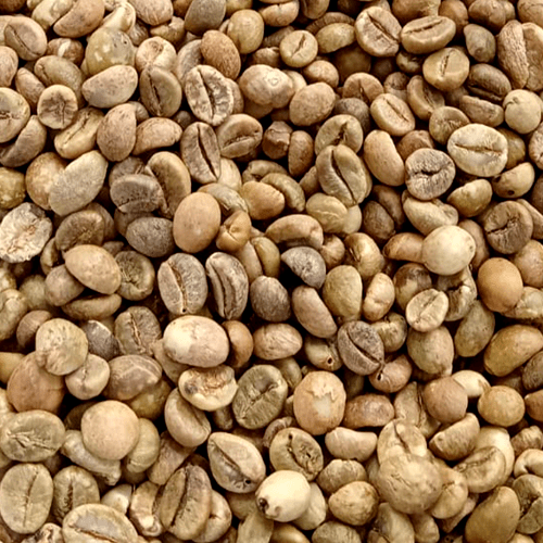 robusta-green-beans