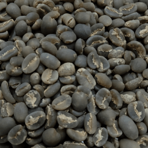 aceh gayo arabica coffee beans