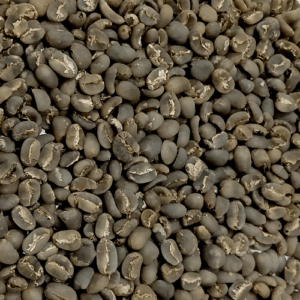 sumatra lintong arabica coffee beans
