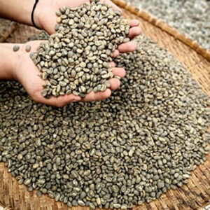 coffee exporters