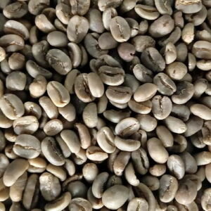 wild luwak arabica coffee beans